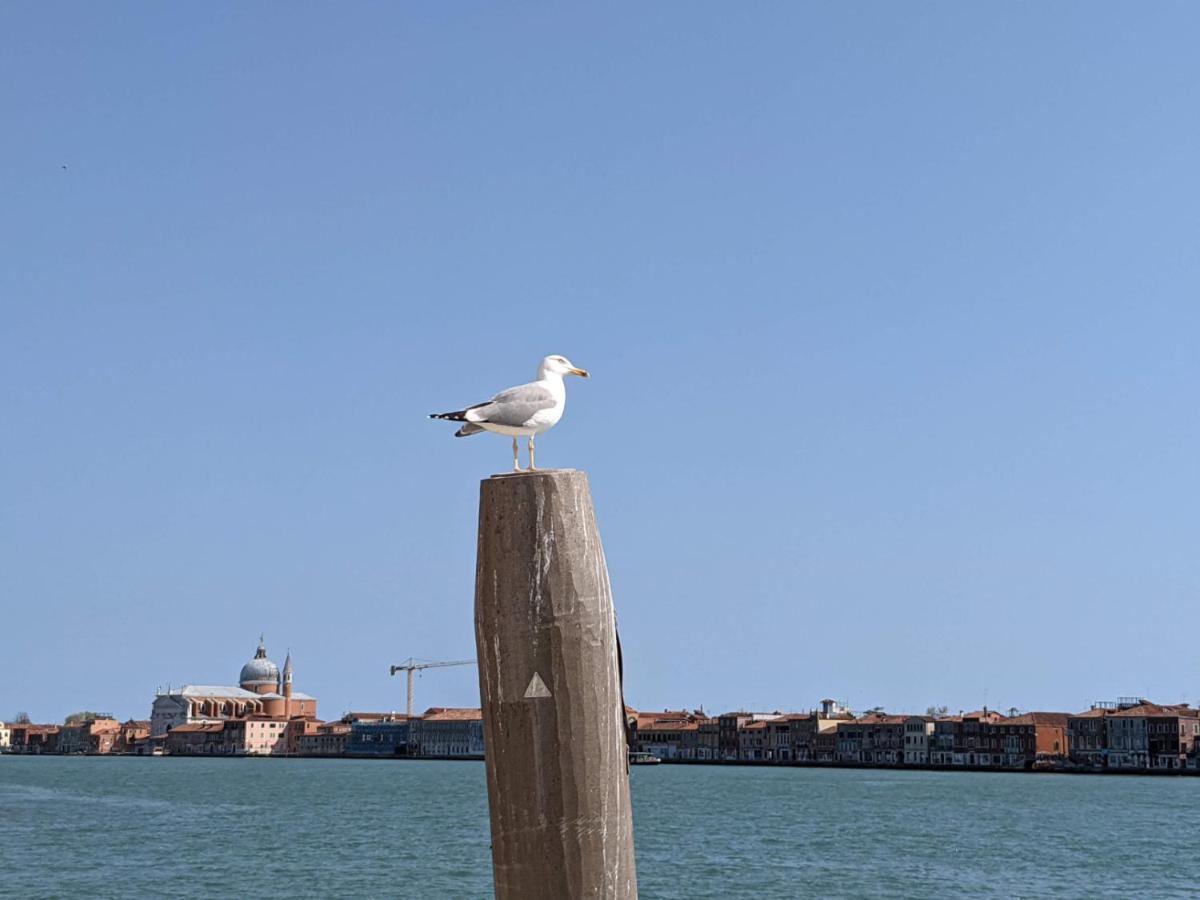 Red Tower Venice - 2 Mins From Vce Airport- Free Wifi * Tessera